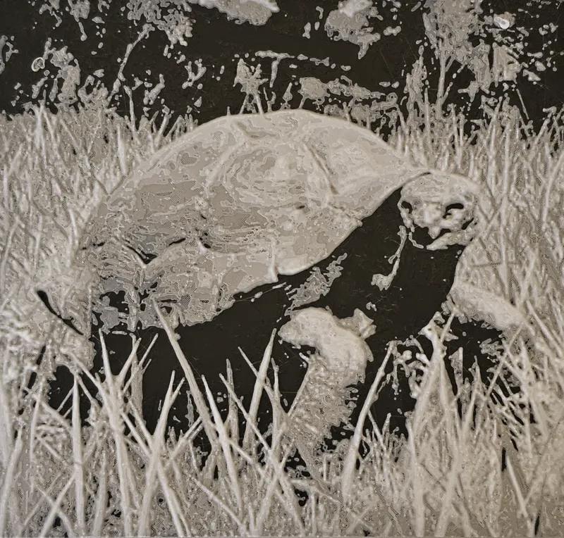 Elden Ring Dog / Turtle HueForge