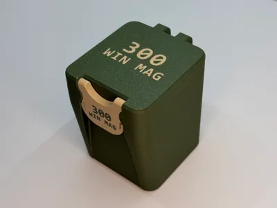 Ammo Box - 300 Win Mag - MINI - 16 Rounds