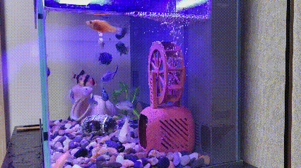 Miniatura 1 do modelo 3D 无动力水车，鱼缸躲避屋
