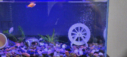 Miniatura 3 do modelo 3D 无动力水车，鱼缸躲避屋