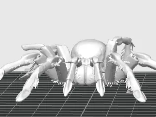 realistic spider