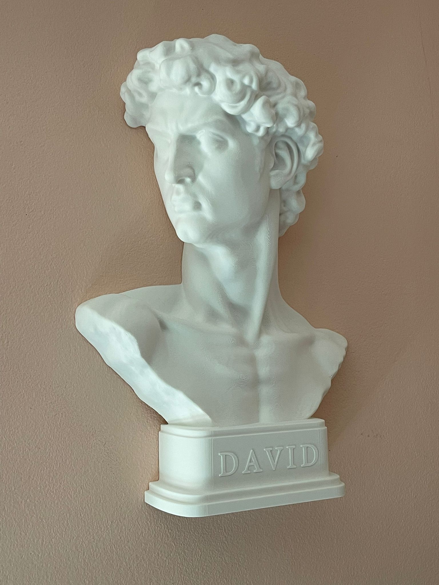 Miniatura 2 do modelo 3D David - Relief Sculpture
