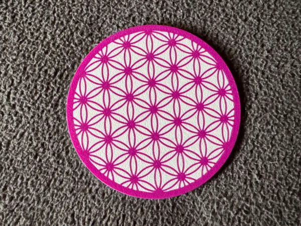 https://makerworld.bblmw.com/makerworld/model/US6b14a809eb2adc/design/2024-10-03_906e3563dc16a.jpg
