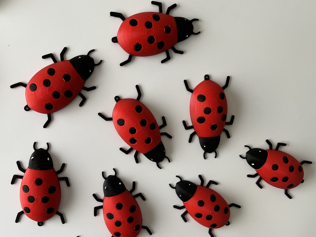 Ladybug/Ladybird Fridge Magnet/Key Ring V2