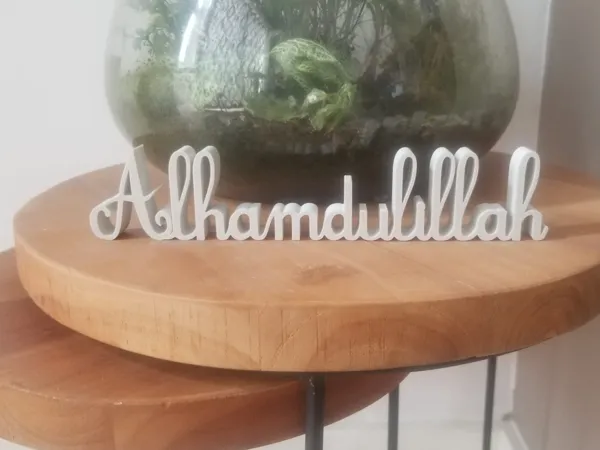 https://makerworld.bblmw.com/makerworld/model/US6b1748ee3152e4/design/2025-07-05_009dce9e53d8b.jpg