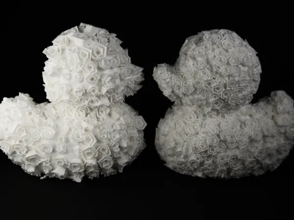 https://makerworld.bblmw.com/makerworld/model/US6b176ebdd7f282/design/2024-06-04_4d86e6e3d149.jpg