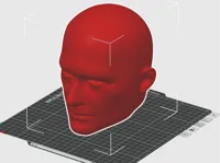 0.2mm layer, 2 walls, 7% infill