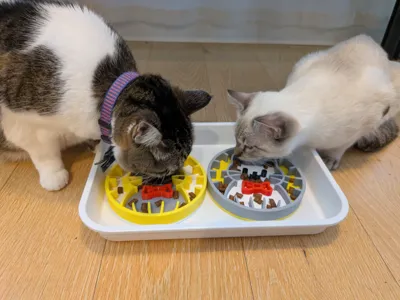 Easy Clean Cat Slow Feeder (AMS is optional）