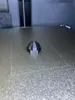 0.12mm layer, 2 walls, 15% infill