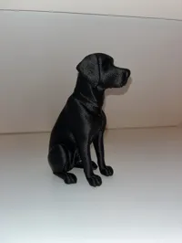 Décoration Labrador « Senna » — photo 3