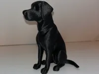Décoration Labrador « Senna » — photo 1