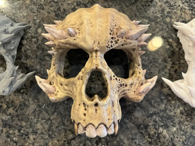 Creepy Skull Mask modified for a better fit.