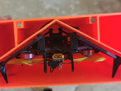 Pringles 20 FPV Storage Box