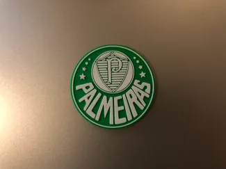 The Sociedade Esportiva Palmeiras