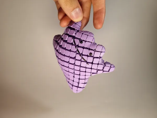 https://makerworld.bblmw.com/makerworld/model/US6b21517b8e6f10/design/2025-07-24_4f202ee1b4b398.jpg