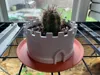 0.2mm layer, 2 walls, 10% infill