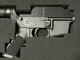 AR15 LOWER Receiver Cover (PETG) .223 and 9mm PCCs