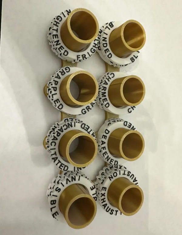 https://makerworld.bblmw.com/makerworld/model/US6b264766c7a0a9/design/2024-07-17_e7125b780e875.jpeg