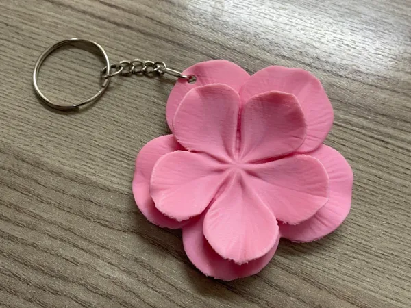 https://makerworld.bblmw.com/makerworld/model/US6b28f4fabb1ee6/design/d4f67cbe19a24fed.jpeg