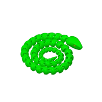 Serpent articulé — photo 4