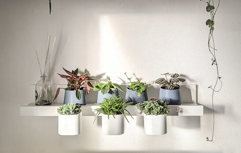 Wall Mounted Plant IKEA Plant Stands Ikea Mosslanda Hanging Vase System Free 3D Print Model MakerWorld