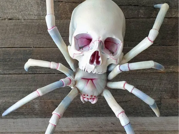 https://makerworld.bblmw.com/makerworld/model/US6b364f4b82f3fb/design/8851a5983e9f1936.png