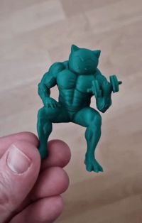 0.08mm layer, 2 walls, 15% infill