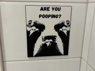 Are you pooping