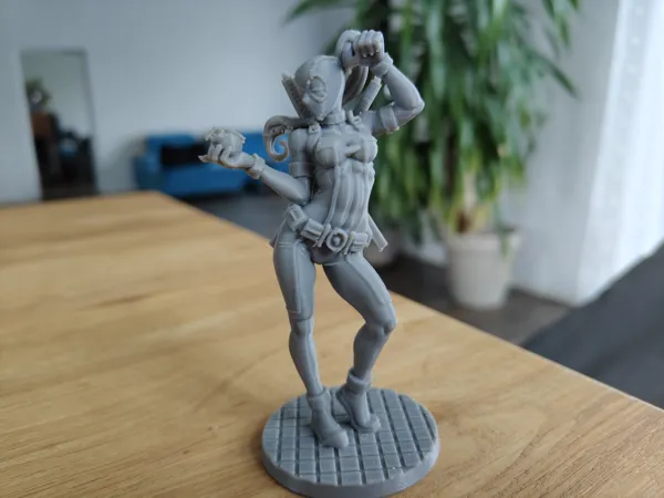 https://makerworld.bblmw.com/makerworld/model/US6b3f2767a3e9dc/design/2025-06-25_f239a063f78a18.jpg