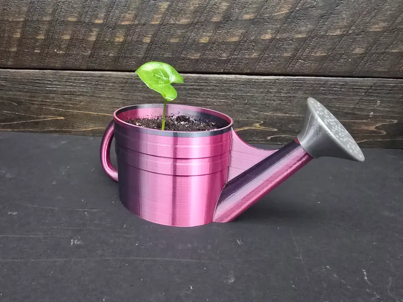 Watering Can Planter