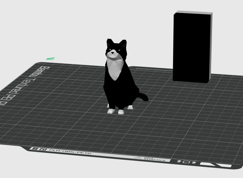 Black and white cat 奶牛猫