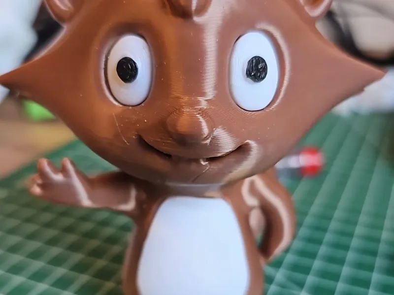 Waschbär mit weißen Bauch