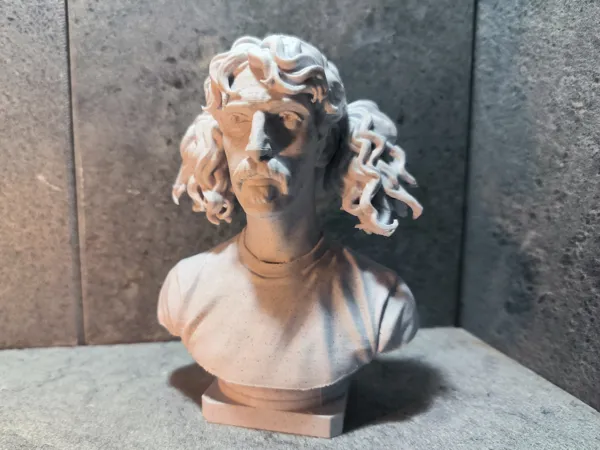 https://makerworld.bblmw.com/makerworld/model/US6b4a8d86487469/design/ca870c4163ad925c.jpg