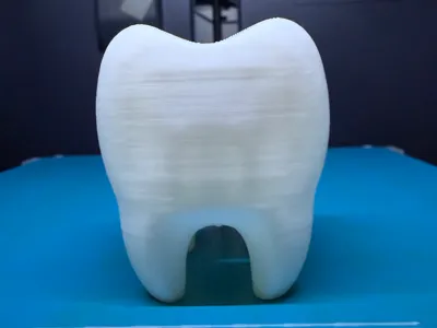Cute Dental Planter for Logos