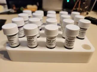 Ink Sample Holder - Holds 20pc