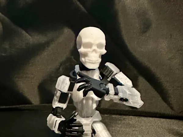 https://makerworld.bblmw.com/makerworld/model/US6b534f5baa0dcd/design/2024-06-06_e13ecd1f4bcfe.jpg