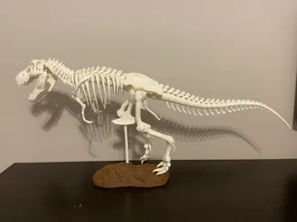 Reinforced T. rex Skeleton - fixed