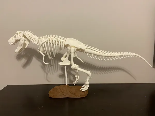 https://makerworld.bblmw.com/makerworld/model/US6b5a245cdf562e/design/2024-02-17_c970767aa640a.jpg