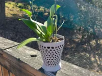 Pot à orchidée aéré — photo 2