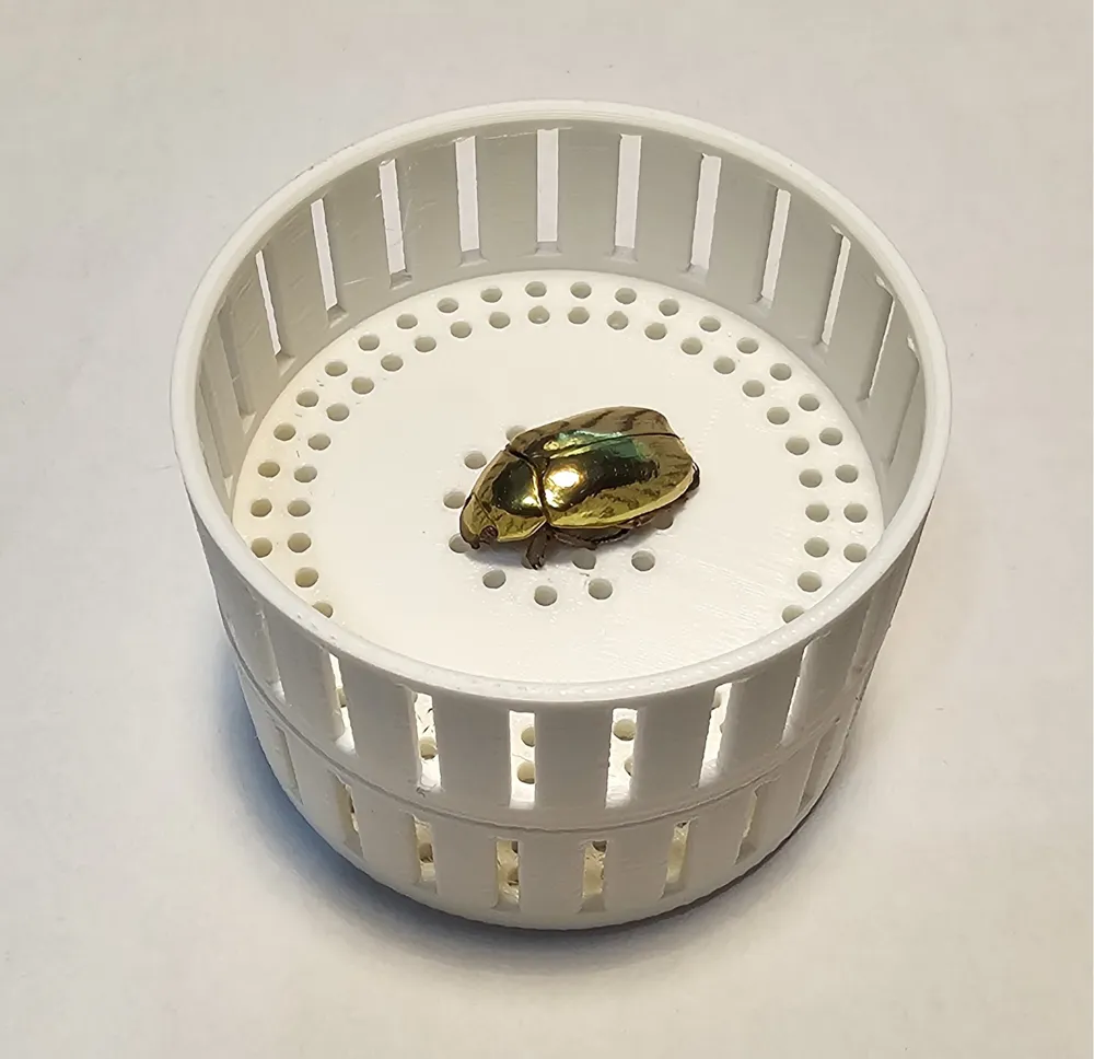 Insect rehydrating dish for insect taxidermy by Lucite - MakerWorld