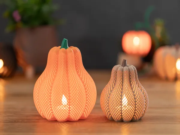 https://makerworld.bblmw.com/makerworld/model/US6b61b6f31ba5b2/design/2025-10-01_d8af6cf73838c.jpg