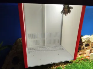 Betta Breeding Box – Modular In-Tank Spawning