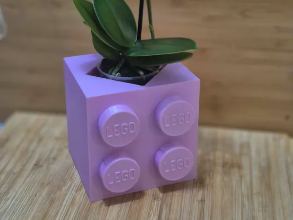 https://makerworld.bblmw.com/makerworld/model/US6b6d293fc00cf6/design/2025-12-30_82cca8b037d108.jpeg