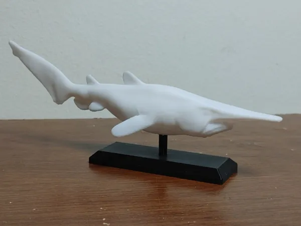 https://makerworld.bblmw.com/makerworld/model/US6b6da456f1e60/design/2025-02-05_256be947c3ba8.jpg