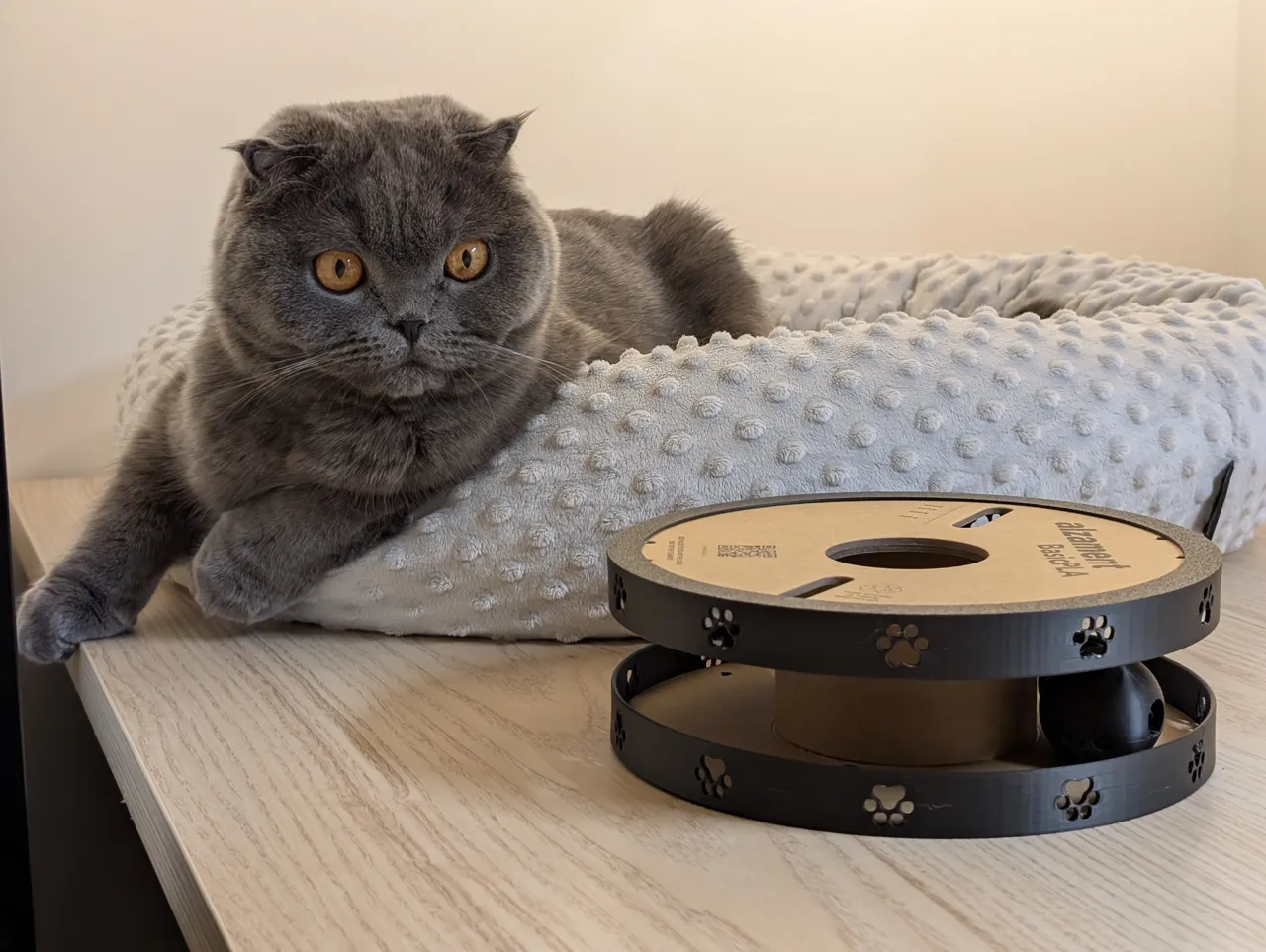 Filament Spool DIY Cat Dog Toy Treat Puzzle view 3