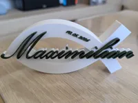 0.16mm layer, 2 walls, 10% infill