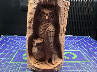 Two Owls in a Tree