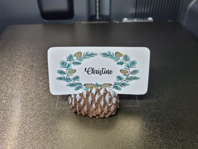 Pinecone Name Placeholder