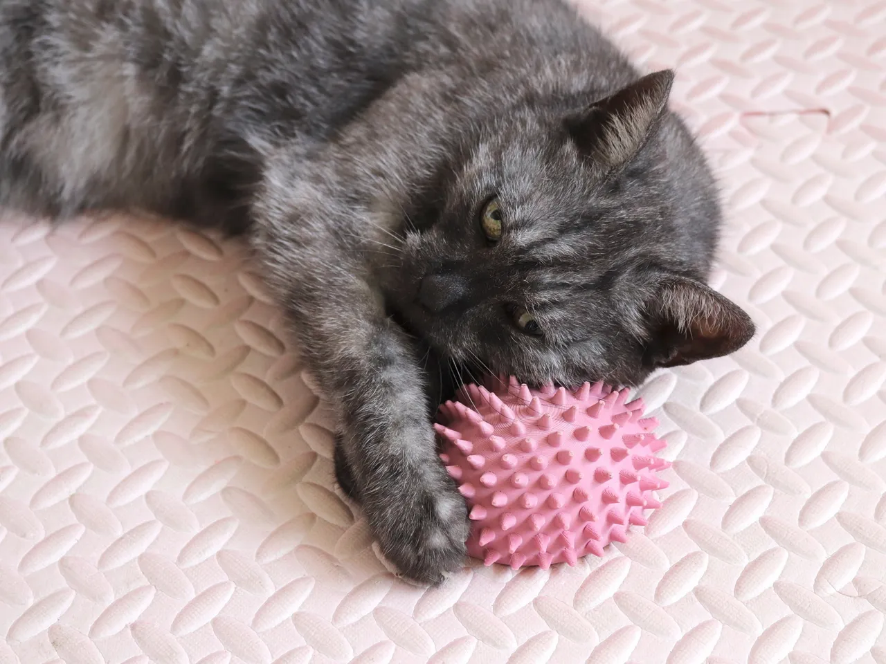 Cute Hedgehog Cat Self Scratcher Groomer view 4