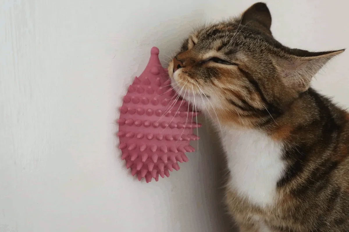 Cute Hedgehog Cat Self Scratcher Groomer view 3